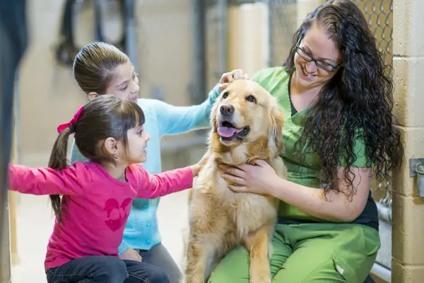 Kids reunited with Golden Retriever dog at animal shelter on July 5