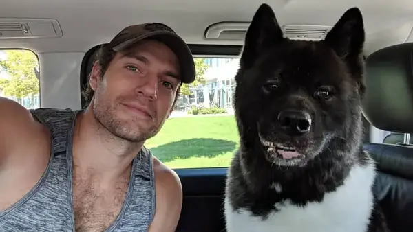 Henry Cavill Cal Dog: race, âge, etc