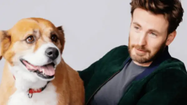 Dodger daje DDE Chris Evans: konkurs, tata i inni