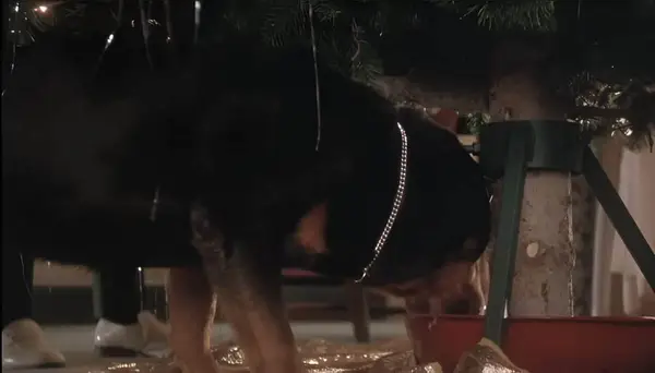 Snots from Christmas Vacation