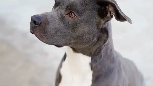 Шта се догодило са особом изабраном за мушкарца?