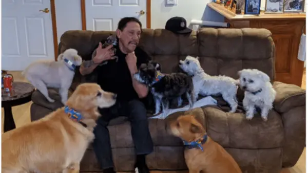 Skoda On: Crayfish, EDD ITD