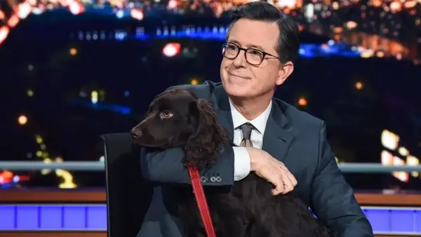 Stephen Colbert Benny Hund: Arten, Alter usw
