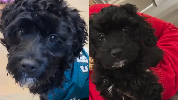 Savanna Gutris: Pastor, Worship, etc