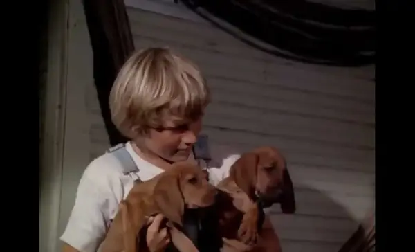 Boy holding two puppies in Where the Red Fern Grows — a sad dog movie.