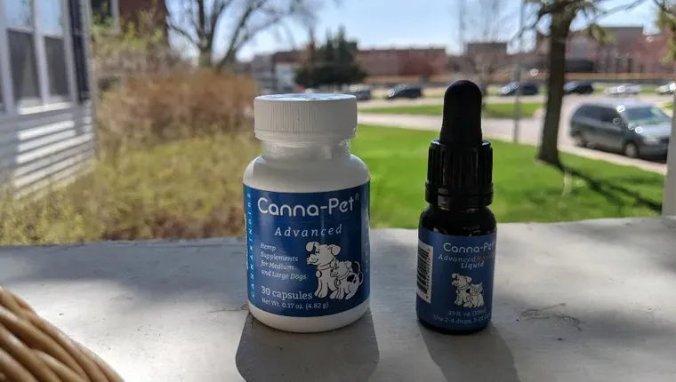 מוצרי canna-pet' title=