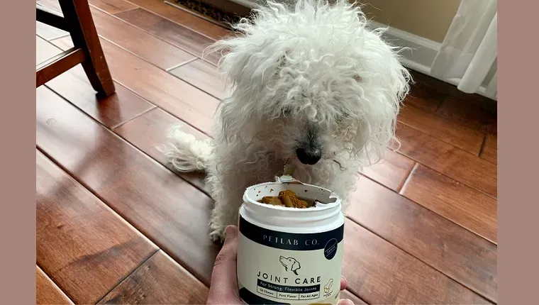 공동 관리 츄어블을 검사하는 레이아' title=