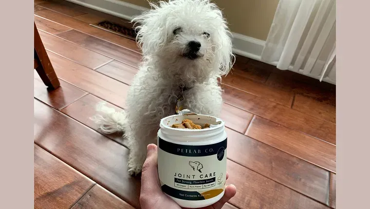 조인트 케어 츄스를 바라보는 레이아' title=