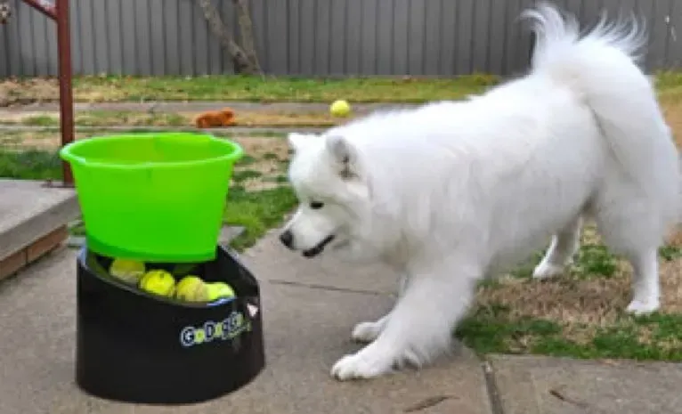 GoDogGo! Преглед на машината за извличане