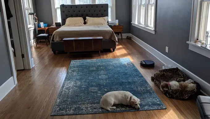 Undrar du om en RoboVac är något för dig? Eufy RoboVac [RECENSION]