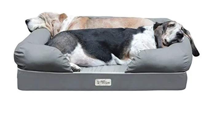 Besties for your bestie: Paras koiranpeti koirallesi' title=