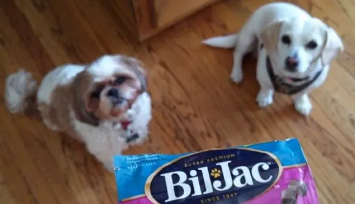 Little Jacs 교육은 제품 리뷰를 취급합니다.