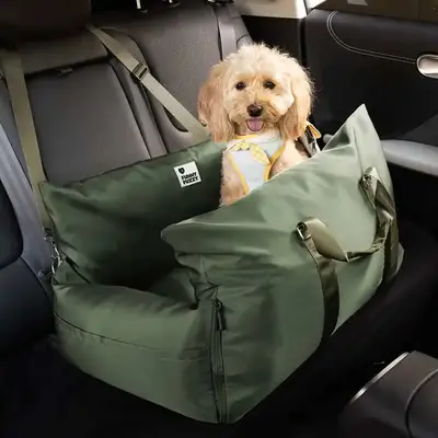 Poodle dog in FunnyFuzzy green waterproof dog car seat bed.