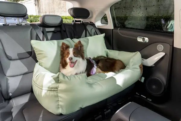 Collie dog in a FunnyFuzzy medium large travel bolster dog car seat bed product in a backseat of a vehicle.