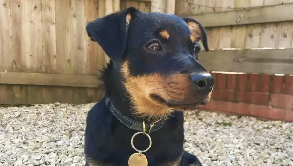 Fotografie a fakta Syna, který se stará o Lancashir