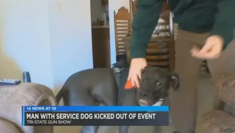 veteraanipalvelukoira-pakko-ase-näyttely-1' title=