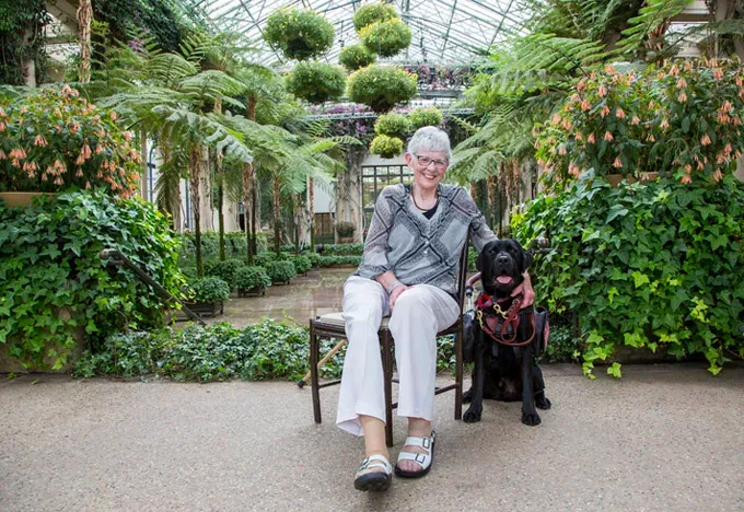 Kako psi službenici mogu pomoći pacijentima s moždanim udarom' title=