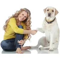 La dieta de los perros antiguos es clave para su domesticación