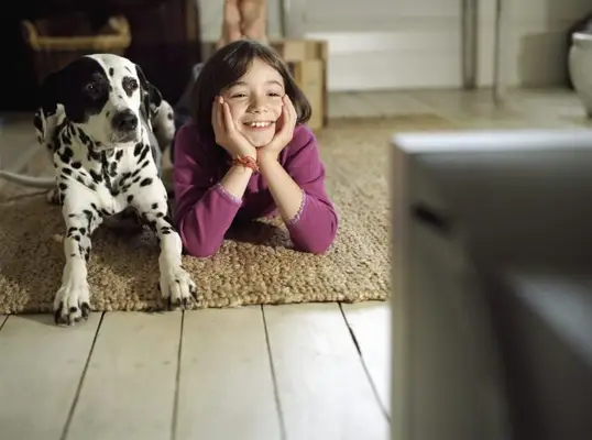 Dør en hund? Kontroller denne side, før du ser filmen