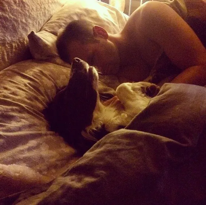 38 psećih svinja [GALERIJA FOTOGRAFIJA]' title=