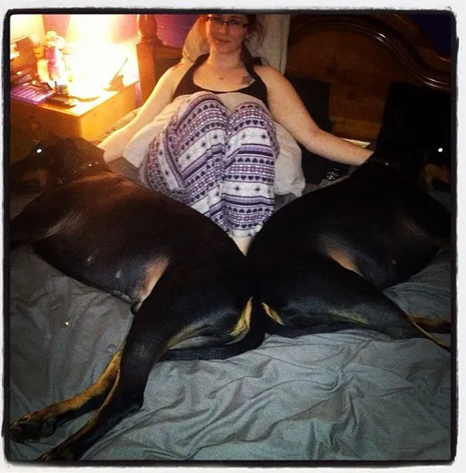 38 psećih svinja [GALERIJA FOTOGRAFIJA]' title=