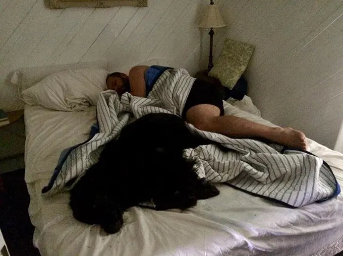 38 psećih svinja [GALERIJA FOTOGRAFIJA]' title=