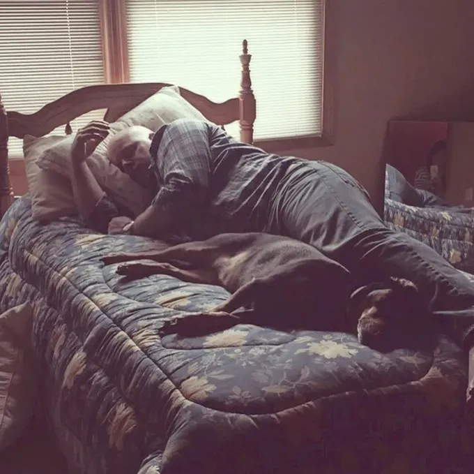 38 psećih svinja [GALERIJA FOTOGRAFIJA]' title=