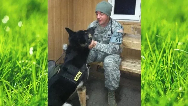 vojaška-čast-vojaški-pes-ameriška-zastava-1' title=