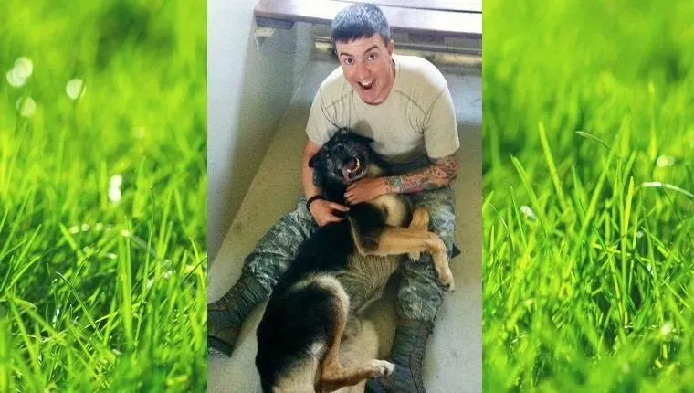 vojaške-časti-vojaški-pes-ameriška-zastava-3' title=