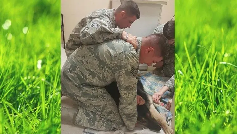 vojak-časti-vojaški-pes-ameriška-zastava-5' title=