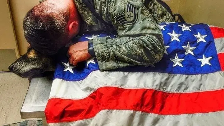 vojak-časti-vojaški-pes-ameriška-zastava-6' title=