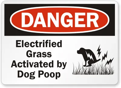 Den er elektrisk.' title=