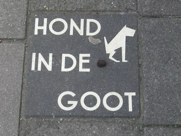 Demp hunden din' title=