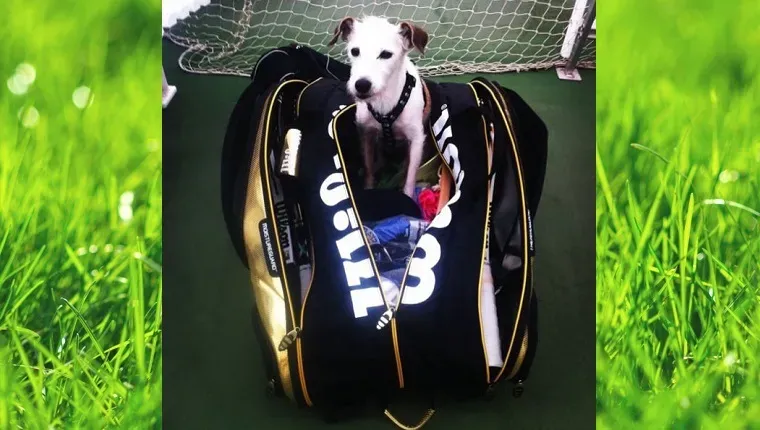 Serena Williams se despede de seu cachorro, Jackie