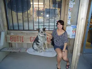 Novi meksički vođa možda je spreman za besplatne turističke pse