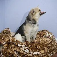 ACTUALITZACIÓ: Kabang es sotmet a la primera cirurgia reconstructiva facial