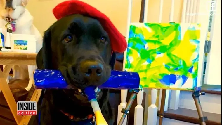 犬が画家になるために介助犬クラスを中退
