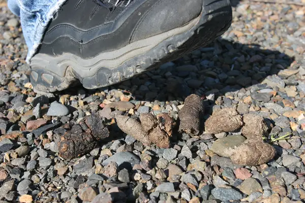 (Photo Credit: Shutterstock)