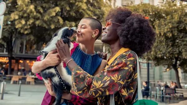 Tāpēc viņi pārliecina savus partnerus adoptēt suņus