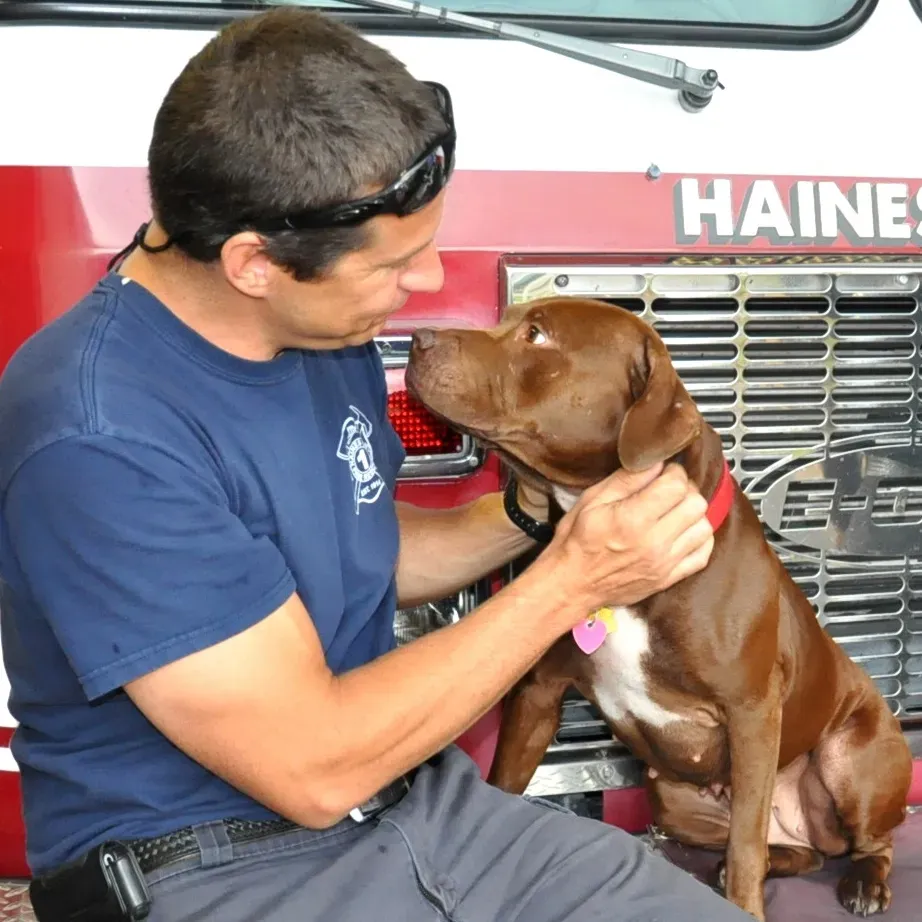 Straż pożarna ratuje, a następnie adoptuje psa