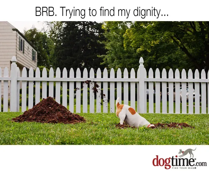 To zajmie chwilę' title=