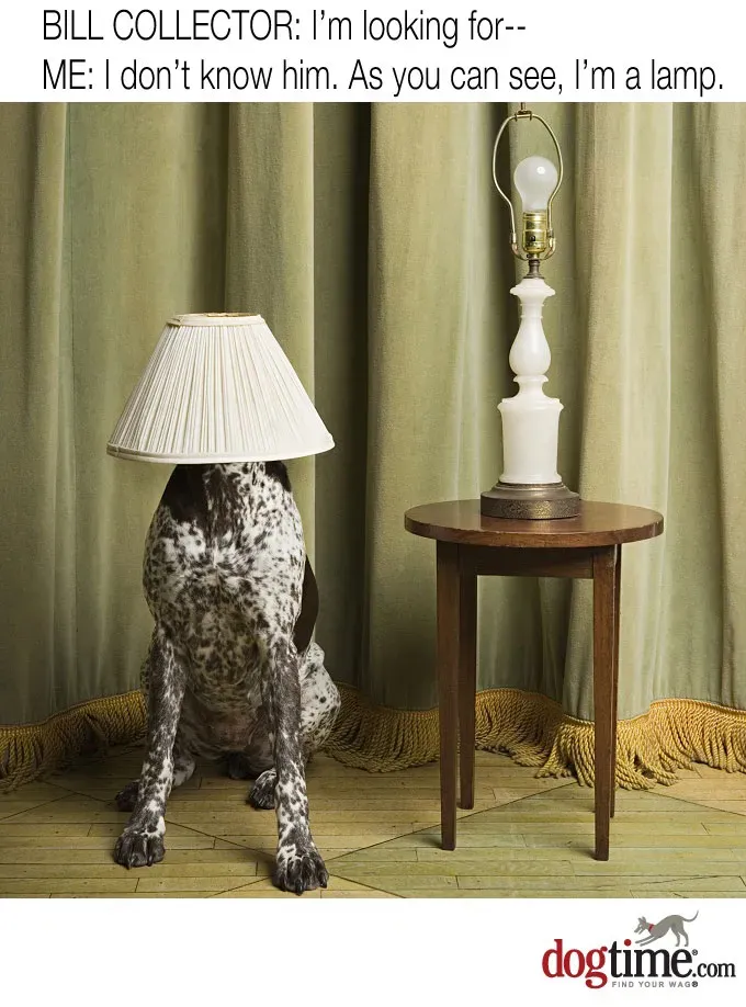 Kocham Lampę' title=