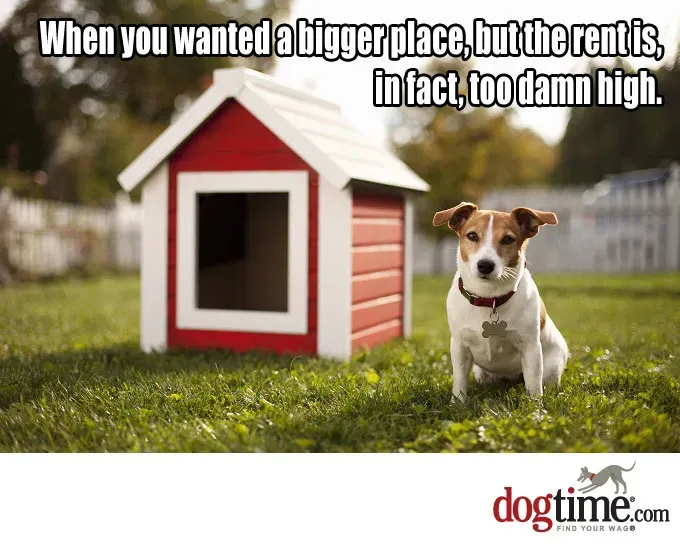 Jest cholernie wysoko' title=