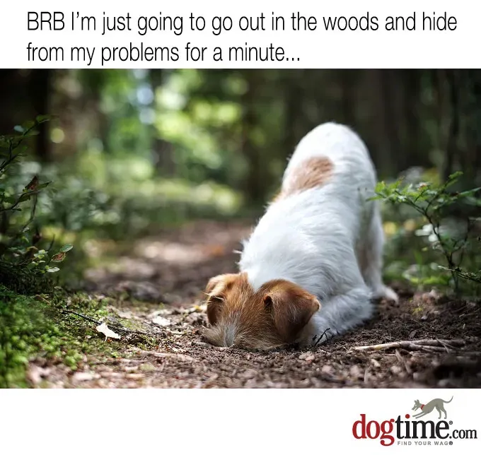 Może dwie minuty' title=