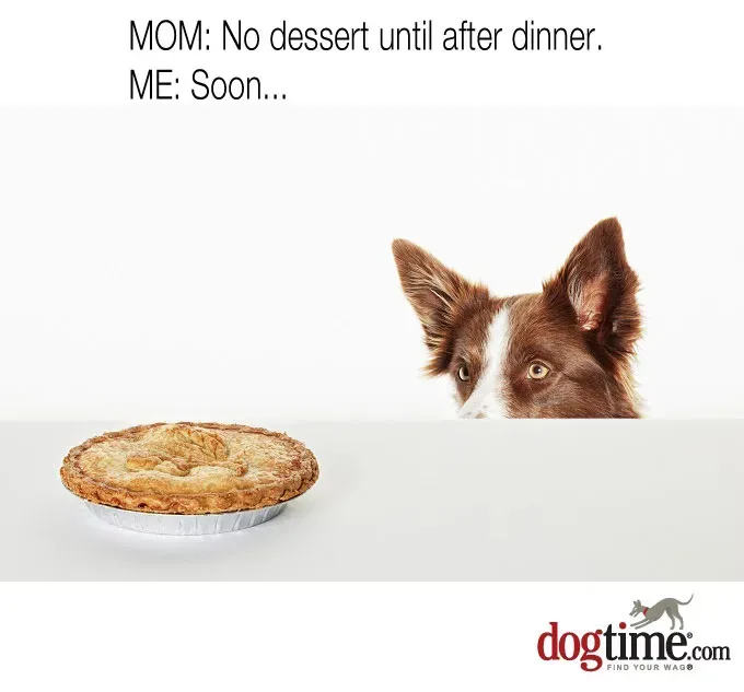 To mnie woła' title=