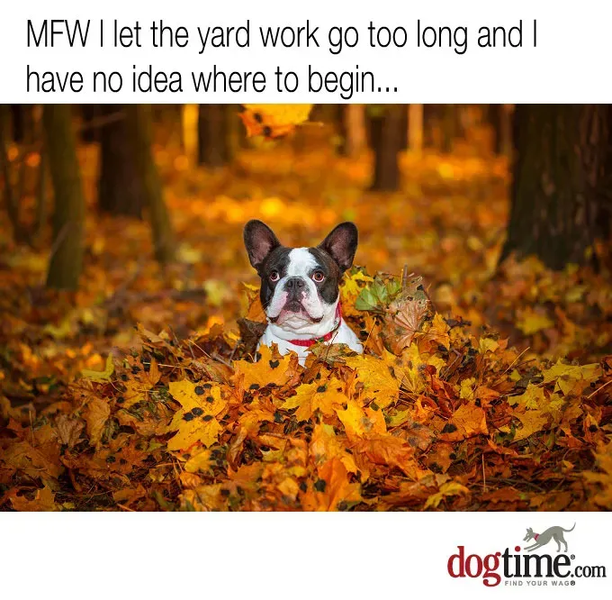 Co zrobiłem?' title=