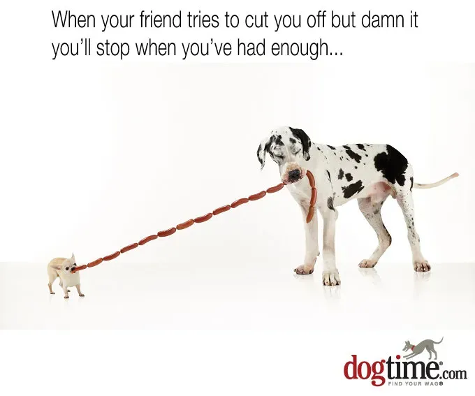 Nie zatrzymuj mnie' title=