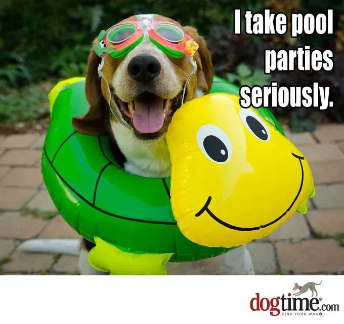 Czy ty w ogóle pływasz?' title=