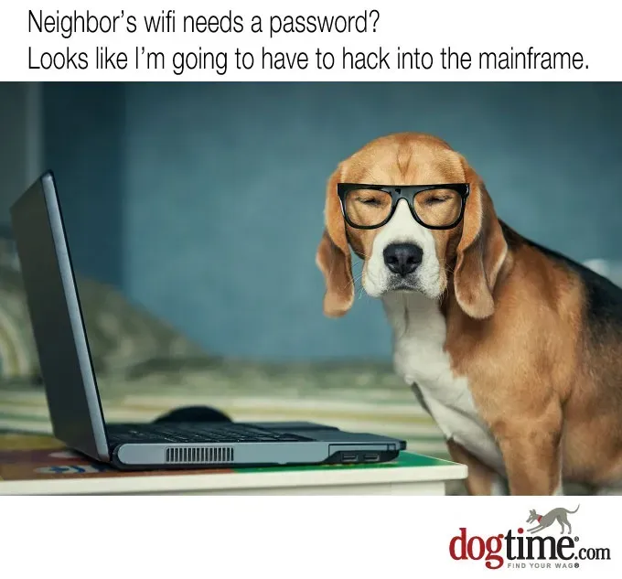 Okulary hakera' title=