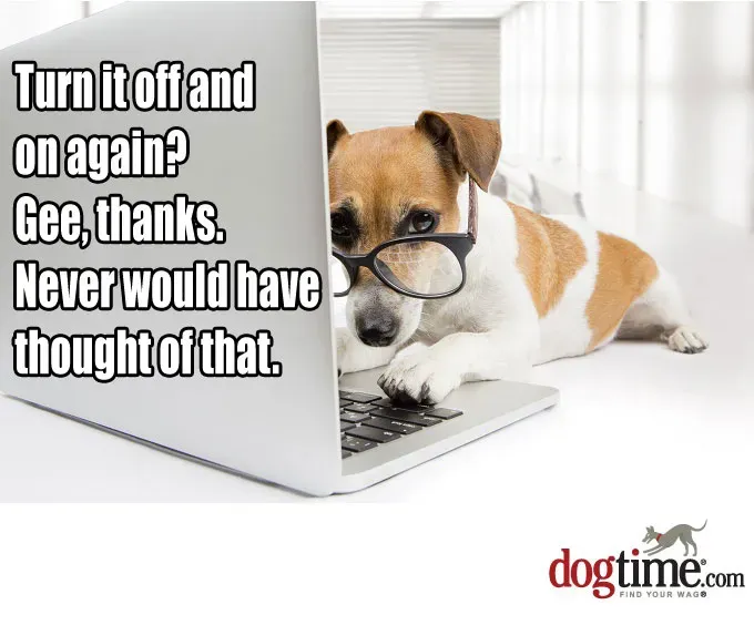 Takie proste' title=